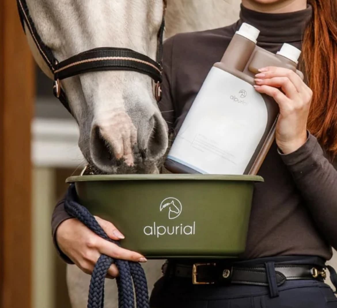 Pferd neben einer Person mit Alpurial-Produkten und grüner Futterschale